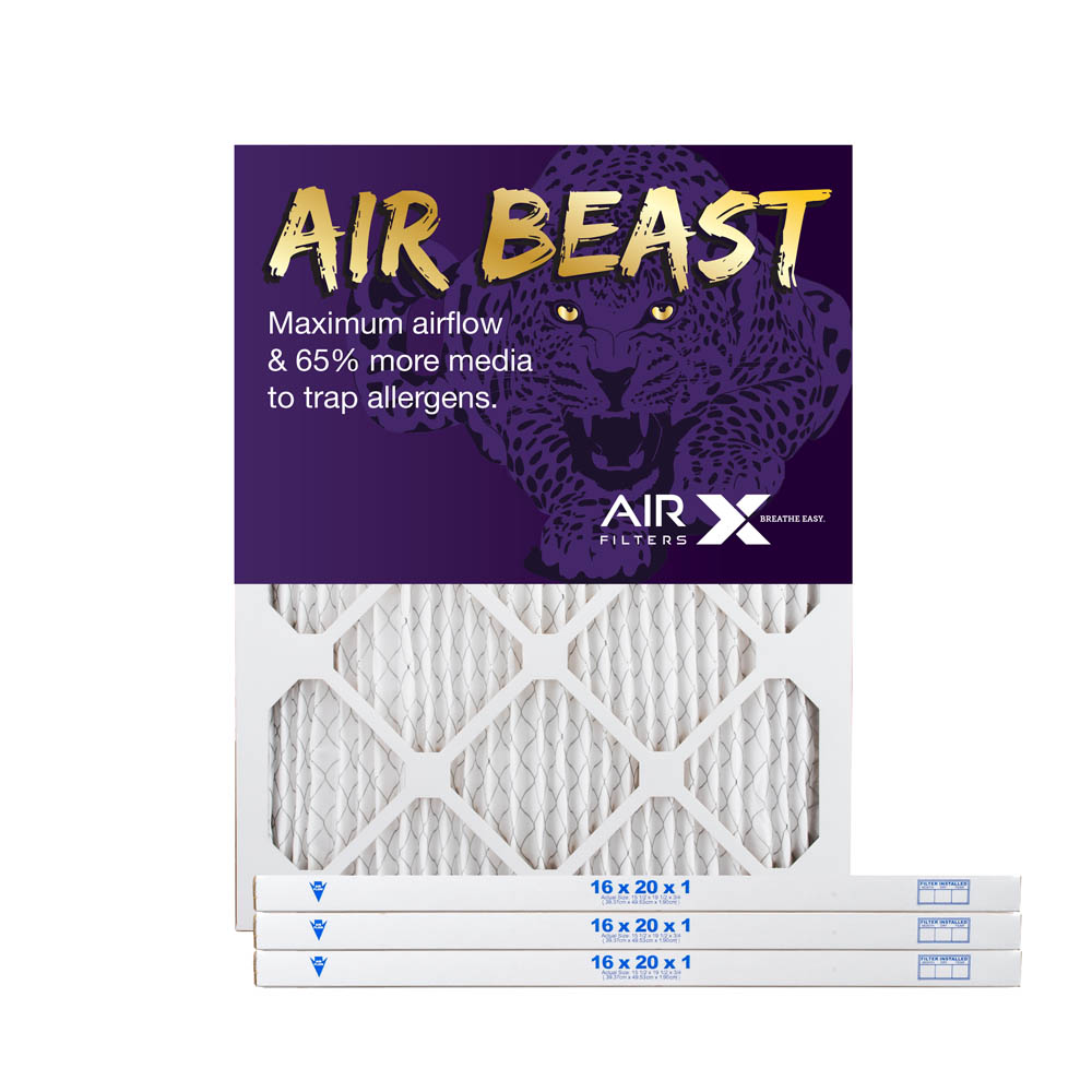 prince air beast