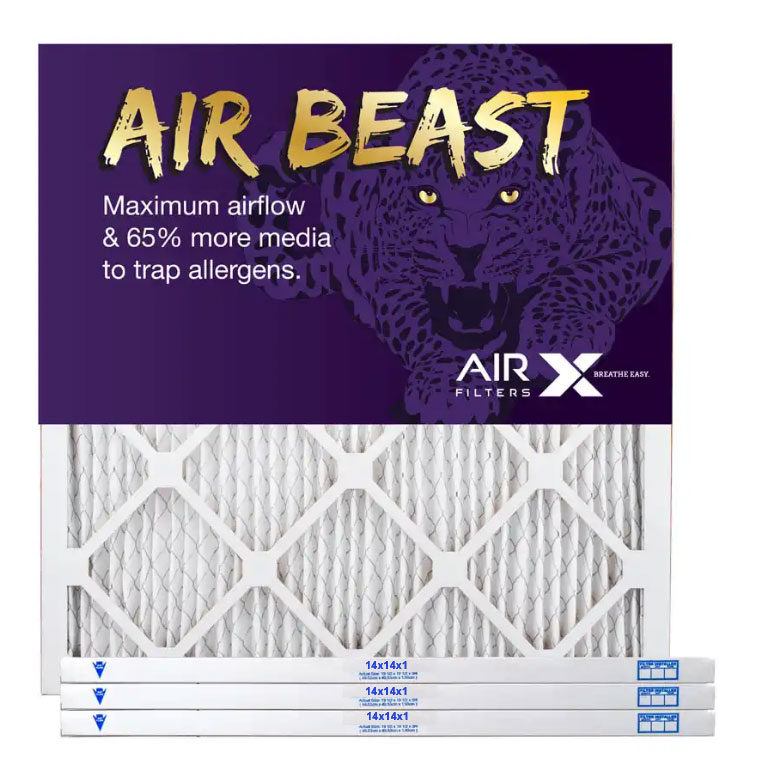 prince air beast