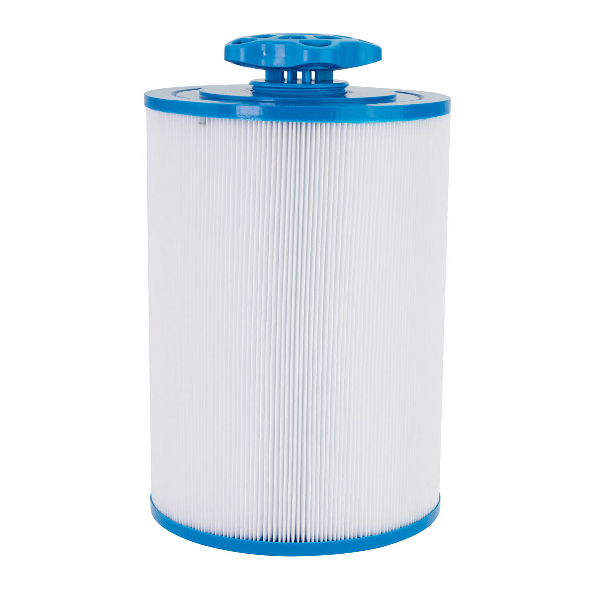 SaniStream Plus Chemical Dispenser / Filter for Waterway Front Access Skimmer